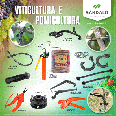 https://www.sandaloplasperola.com.br/