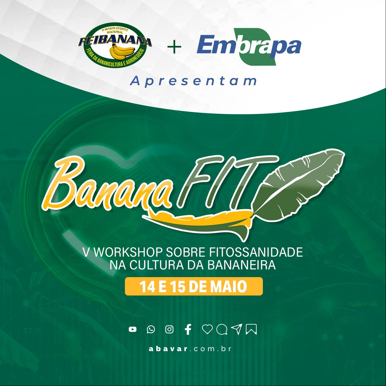 https://abavar.com.br/