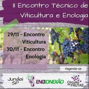II Encontro Técnico de Viticultura e Enologia da Região Sudeste