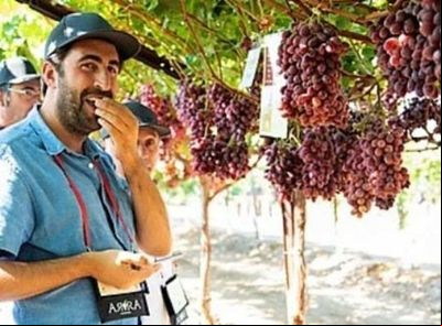 Aumentam as exportações de frutas do Vale do São Francisco