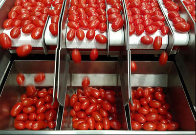 Fazendo o futuro da alimentação sustentável