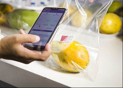 Nanossensor de baixo custo rastreia frutas e monitora a sua qualidade