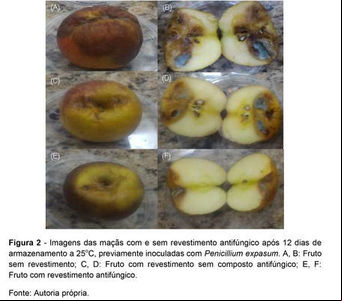 Revestimento com composto antifúngico natural no biocontrole da podridão azul em maçãs pós-colheita