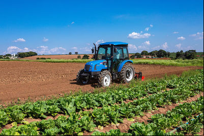 HortifrutiTrator é a tecnologia sob medida para a Hortifruticultura
