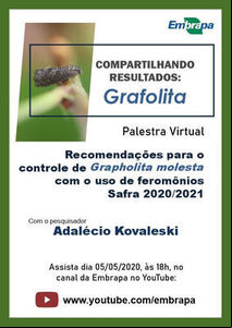 Novidades sobre o uso de feromônios no Controle da Mariposa Oriental