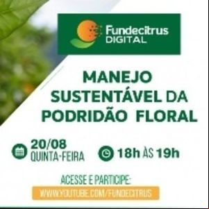 Manejo da podridão floral é tema do próximo webinar do Fundecitrus