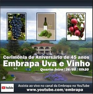 Eventos virtuais marcam os 45 anos da Embrapa Uva e Vinho