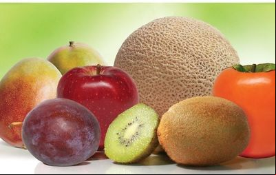 AgroFresh, empresa líder em soluções pós-colheita no Brasil, tem tecnologia que ajuda a reduzir o desperdício de alimentos