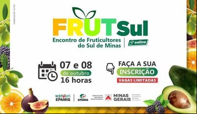 EPAMIG realiza o FrutSul Online