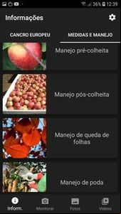 Aplicativo de celular promete melhorar a diagnose, monitoramento e manejo do cancro europeu da macieira em pomares no sul do Brasil
