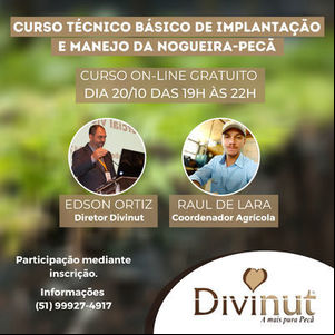 Divinut promove novo curso técnico de Implantação e Manejo da Nogueira-pecã