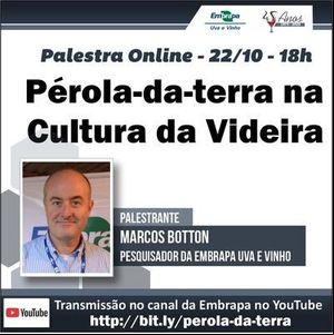Palestra Desvendando a pérola-da-terra na cultura da videira