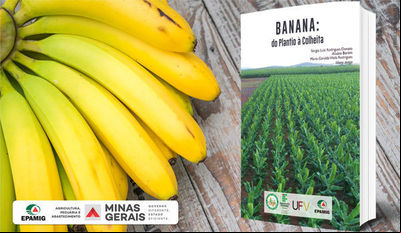 EPAMIG publica livro sobre cultivo de banana