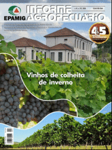 Vinhos de colheita de inverno abrem novos horizontes