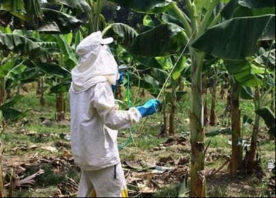 Sindiveg disponibiliza nova etapa de treinamento gratuito e com certificado sobre defensivos agrícolas