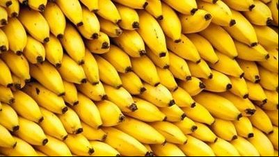 Produtor do Vale do Jequitinhonha investe em fruticultura irrigada com apoio da Emater-MG e Anater