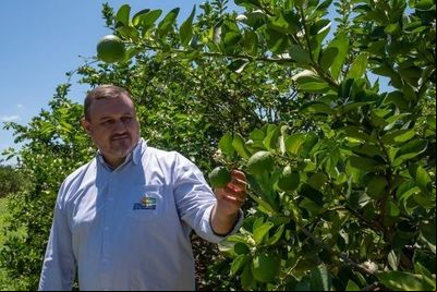 IAC apresenta nova variedade de lima ácida Tahiti, a IAC 10, e dois novos porta-enxertos