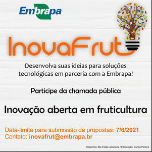 Embrapa lança programa de inovação aberta em fruticultura tropical