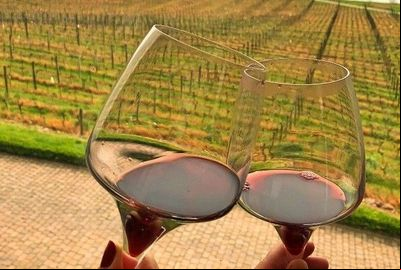 Primeira safra de vinhos com Selo IP Altos Montes recebe certificação
