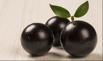 Embrapa busca parceiros para pesquisas com fruteiras nativas
