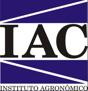 Centro de Citricultura do IAC obtém certificação internacional de sustentabilidade e se torna a única fazenda de pesquisa com esse status