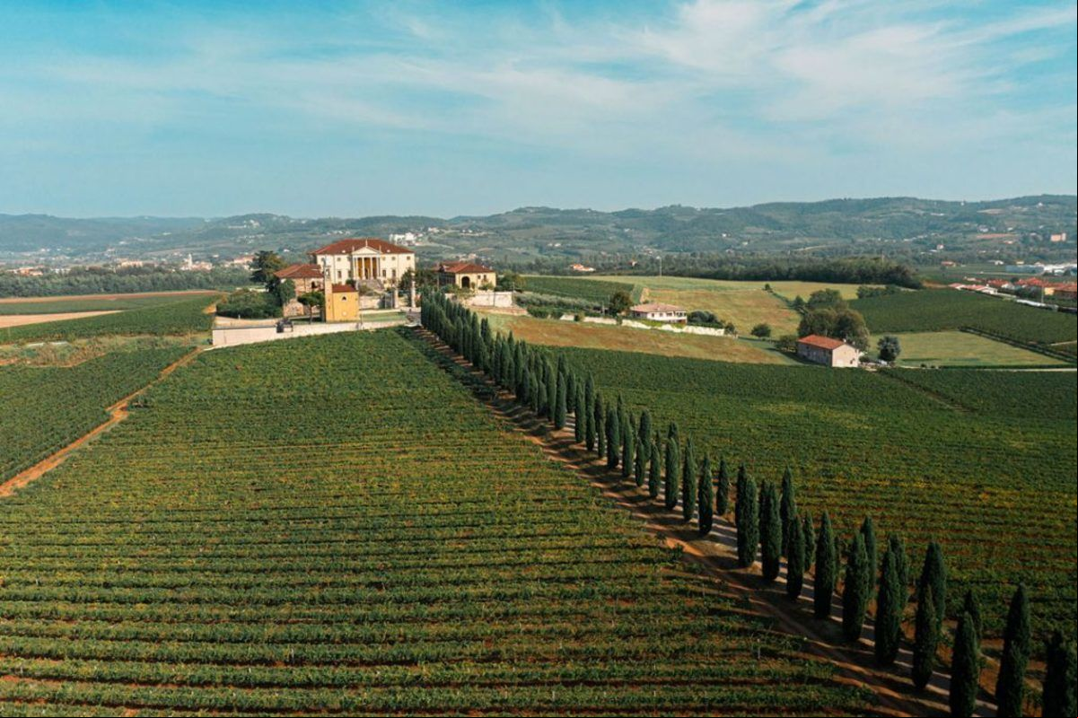 Novos terroirs do Brasil ganham destaque na Wine South America 2025
