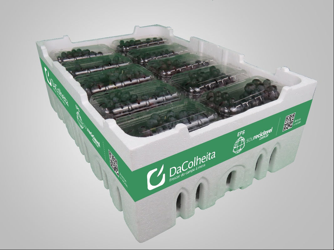Termotécnica apresenta soluções de embalagens para o mercado FLV no 3º Encontro Nacional Ibrahort