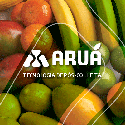 https://www.arua.com.br/