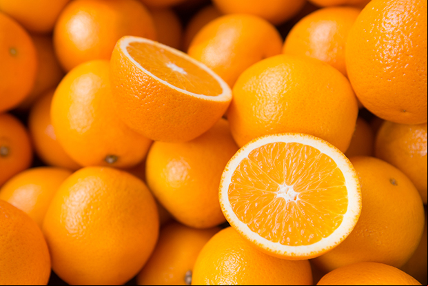 Laranja pode tornar-se geneticamente resistente a pragas