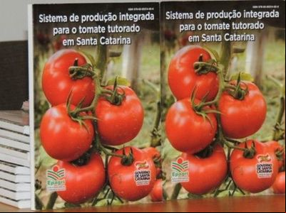 Epagri de Caçador lança livro sobre produção integrada de tomate