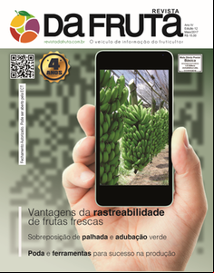 Aplicativo feito pela UFMG indicará no celular as condições de frutas e legumes