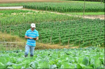 Epagri oferece canal de assistência técnica remota